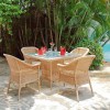Ricominciamo Insieme… Dal nostro Giardino!