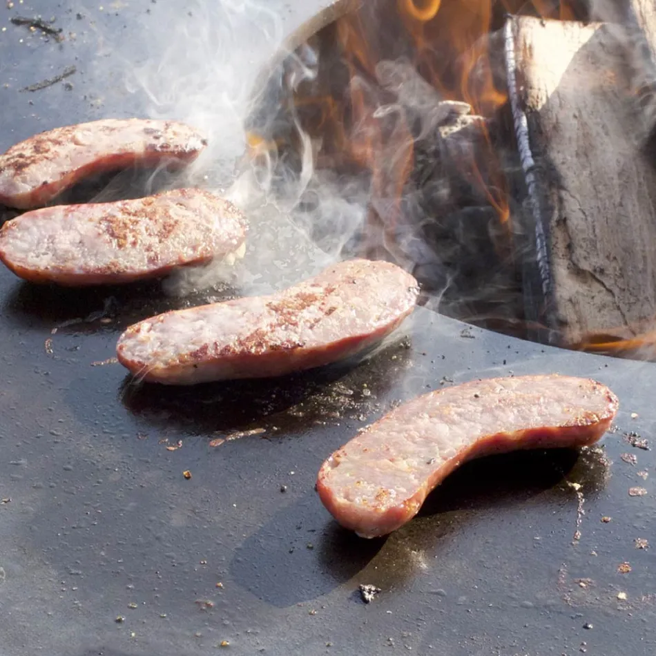 Barbecue a Legna con Piastra Cottura e Vano Porta Legna - Ferran Viadurini