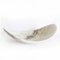 Centrotavola in Marmo Paonazzo di Design Made in Italy - Libeccio