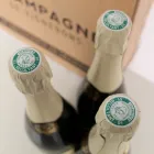 Champagne Cuvee esclusiva per Viadurini confezione 3 bottiglie "Champagne de Vignerons" Viadurini