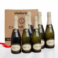Champagne Cuvee esclusiva per Viadurini confezione 6 bottiglie "Champagne de Vignerons"