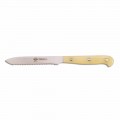 Coltello Pomodoro in Acciaio Inox, Berti in Esclusiva per Viadurini- Barasso