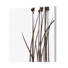 Composizione di 4 Pannelli con Ortensie, Allium e Thypha  Made in Italy - Calcolo Viadurini