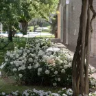 Lampada da Terra Giardino Alluminio Bianco Design a Foglia Ninfea - Cipriam Viadurini