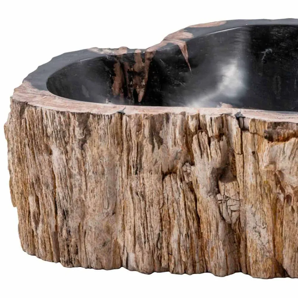 Lavandino da appoggio fatto a mano in legno fossile, Neirone Viadurini