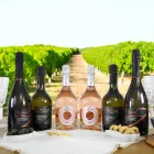 Omaggio Esclusivo: 6 Bottiglie di Prosecco DOC in Regalo Viadurini