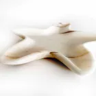 Piattino Moderno in Marmo a Forma di Stella Marina Made in Italy - Ticcio Viadurini