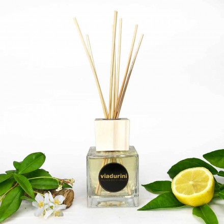 Profumatore Ambiente Fragranza Cuoio 200 ml con Bastoncini - Lavecchiavenezia Viadurini