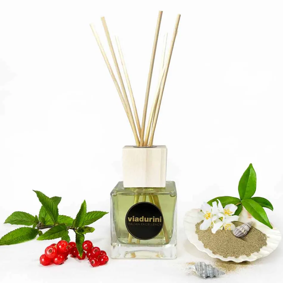 Profumatore Ambiente Vaniglia e Mou 200 ml con Bastoncini - Sabbiedelsalento Viadurini