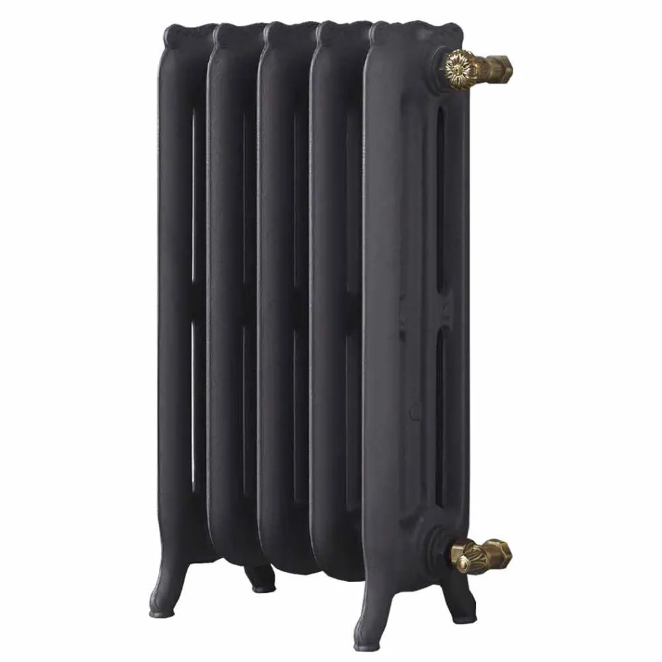 Radiatore di Design 5 Elementi Lisci in Ghisa da Terra fino 1062 W - Barocco Viadurini