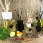 Refill Mandarino Cannella Diffusore Ambiente Bastoncini 500 ml o 1 lt Maddalena Viadurini