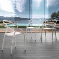 Sedia design moderno in polipropilene Pavia, diversi colori