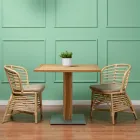 Sedia per il Giardino in Rattan Naturale con Cuscino Incluso – Torvi Viadurini