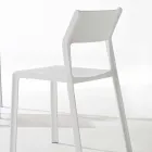 Sedia per Sala da Pranzo Impilabile in Polipropilene Colorato, 4 Pezzi - Abelia Viadurini