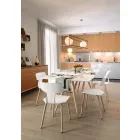 Sedie Sala da Pranzo in Legno e Polipropilene Made in Italy, 2 Pezzi - Clover  Viadurini