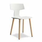 Sedie Sala da Pranzo in Legno e Polipropilene Made in Italy, 2 Pezzi - Clover  Viadurini