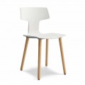 Sedia Sala da Pranzo in Legno e Polipropilene Made in Italy, 2 Pezzi - Clover 