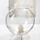 Tavolino Contenitore Multiuso in Plexiglass Trasparente Made in Italy - Scar Viadurini