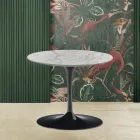 Tavolino Tulip Eero Saarinen H 39 con Piano in Marmo di Carrara Statuarietto Viadurini