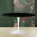 Tavolino Tulip Eero Saarinen H 41 con Piano Ovale in Marmo Nero Marquinia Viadurini