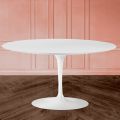 Tavolino Tulip Eero Saarinen H 41 Ovale con Piano in Laminato Liquido Bianco - Scarlet
