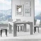 Tavolo Allungabile a 440 cm in Microparticelle di Legno Made in Italy - Albero Viadurini