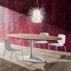 Tavolo da Pranzo con Piano Ovale in Multistrato Made in Italy - Brontolo Viadurini