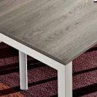 Tavolo da Pranzo in Melaminico e Metallo Verniciato Made in Italy - Remigio Viadurini
