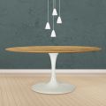 Tavolo Tulip Eero Saarinen H 74 Ovale in Rovere Naturale Made in Italy - Scarlet