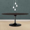 Tavolo Tulip Eero Saarinen H 74 Ovale in Rovere Tinto Moka Made in Italy - Scarlet