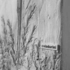 Termoarredo Idraulico Fino a 480 Watt in Polvere di Marmo Italiano - Naturae Viadurini