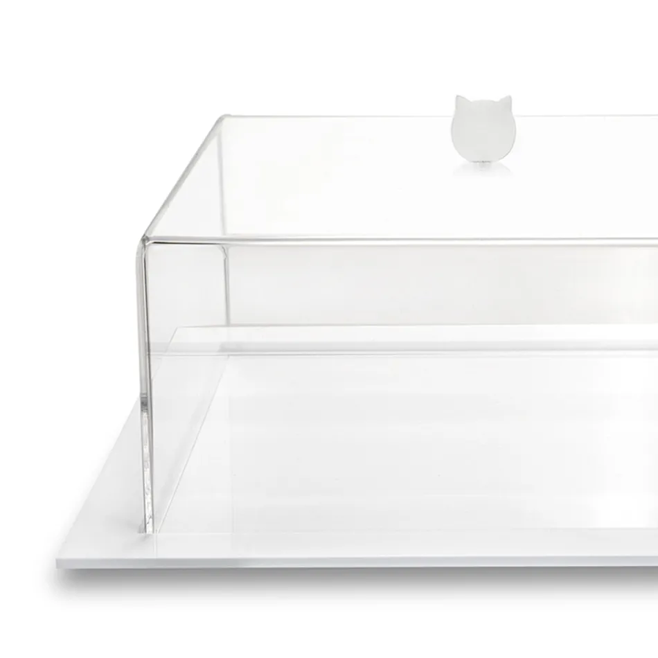 Tortiera Quadrata Plexiglass Trasparente Made in Italy 2 Misure - Crotone Viadurini