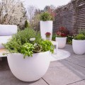 Vaso con Illuminazione Led o Solare Design Moderno di Varie Misure - Svasostar