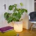 Vaso con Illuminazione Solare o Led Design da Interno o Esterno - Cilindrostar