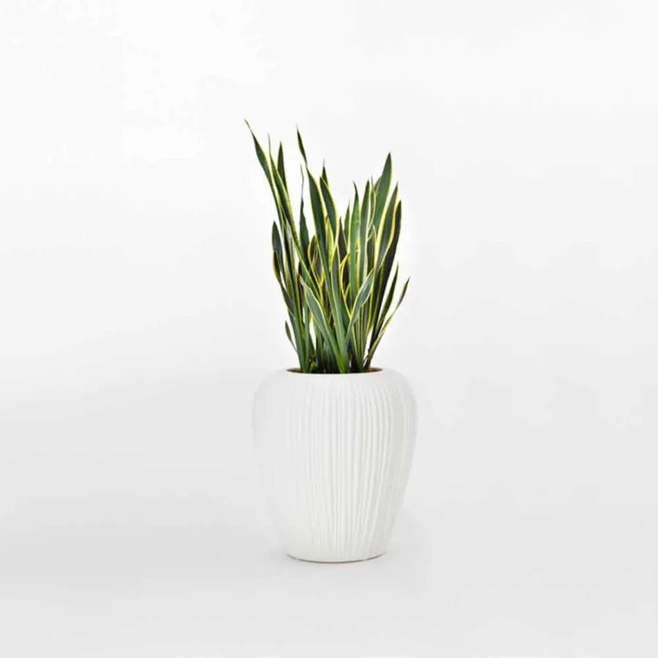 Vaso Luminoso da Esterno Design Moderno in Polietilene, 2 Pezzi - Skin by Myyour Viadurini