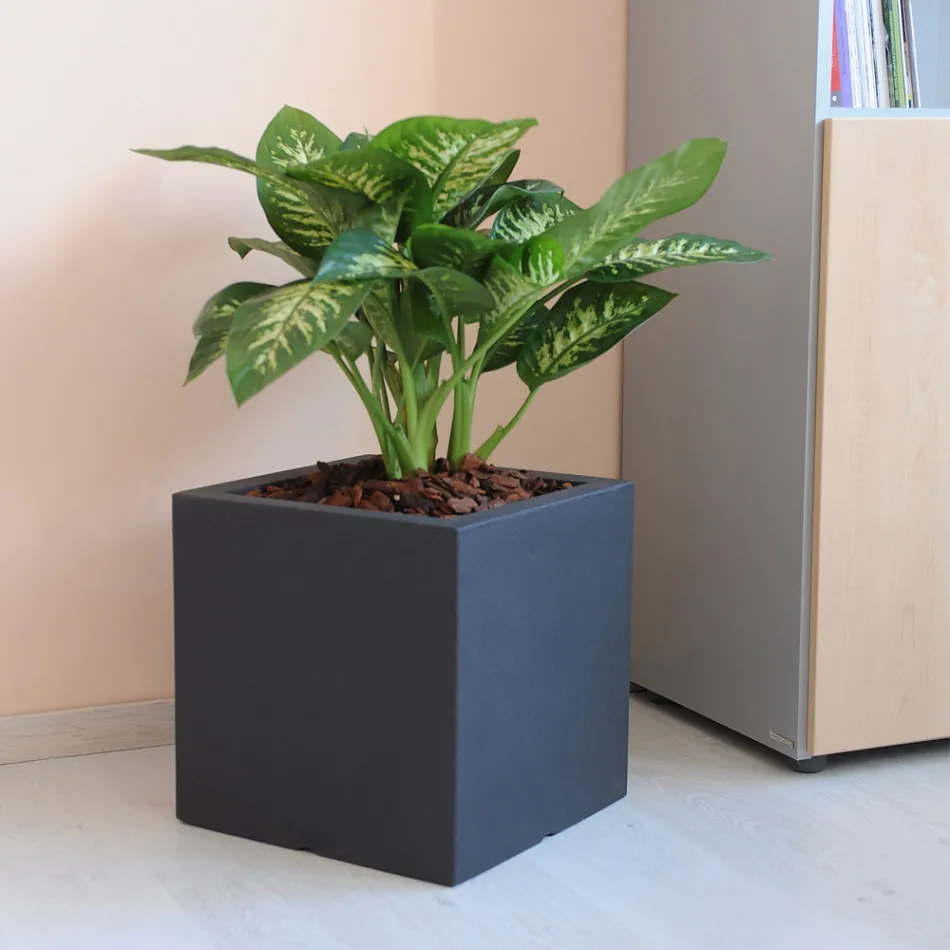 Vaso o Divisorio Colorato per Esterni 3 Dimensioni Made in Italy - Plants Viadurini