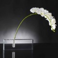 Vaso per Fiori Moderno in Plexiglass Trasparente Realizzato in Italia - Unique